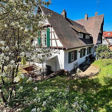 Ferienwohnung Am Keschtebaum, 70Qm Sasbachwalden Exterior photo